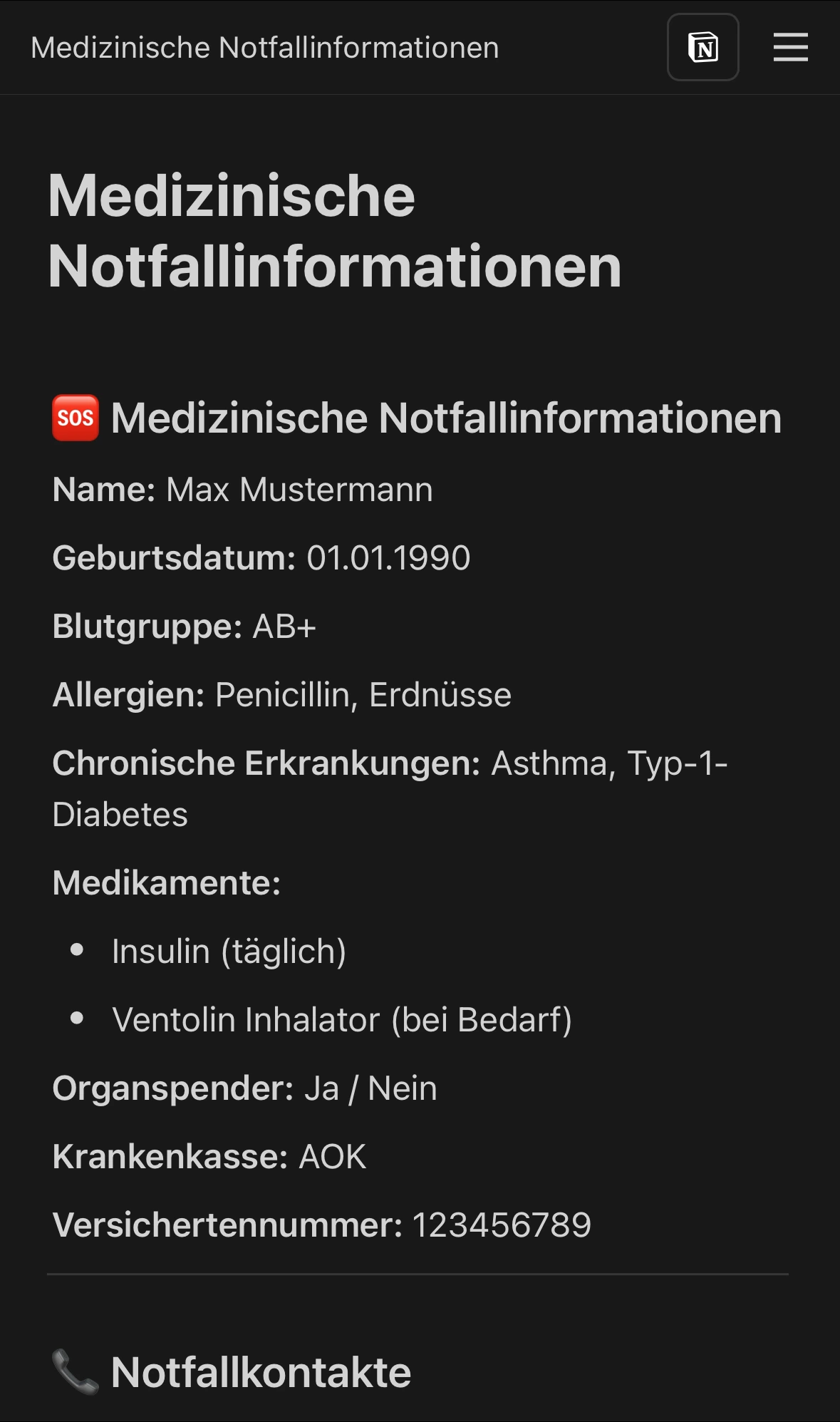 Notion Notfallinformationen Vorlage Screenshot
